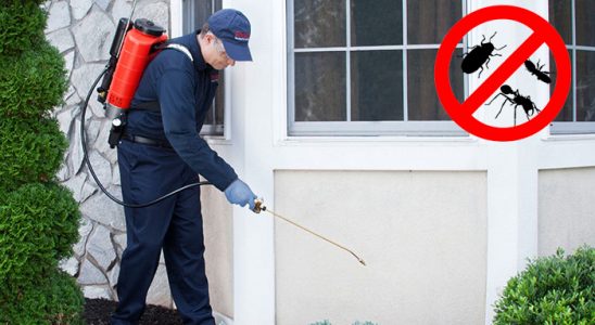 Çamardı Kemirgen İlaçlama böcek ilaçlama ve haşere kontrolü — ilaclama-tr.com